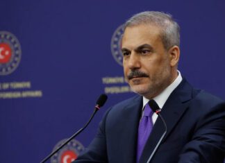 Regional Leaders Condemn Israeli Aggression and Urge Unity on Syria