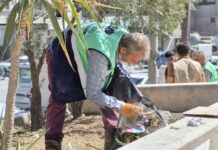 Cleaning Campaigns in Celebration of World Cleanup Day