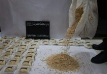 Syria’s Anti-Narcotics Campaign Enhanced via Regional Cooperation