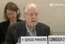 UN and Syrian Probes Advance in Suwayda Unrest Inquiry