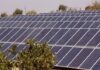 Solar Power in Syria: From Survival to Sustainable Strategy