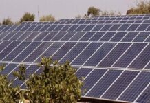 Solar Power in Syria: From Survival to Sustainable Strategy