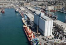Four Wheat Ships Arrive at Tartus Port