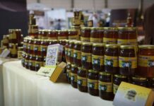 Syrian Honey Festival Promotes “Liquid Gold” as an Economic Resource