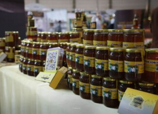 Syrian Honey Festival Promotes “Liquid Gold” as an Economic Resource