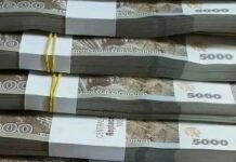 Key Economic Transformations in the First Year of Liberation