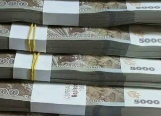 Key Economic Transformations in the First Year of Liberation