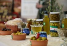 Idlib Regains Its Greenery at the Olive Exhibition 2025