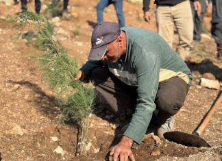 A Campaign to Revive Vegetation in Damascus Countryside