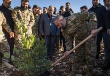 Reforestation Campaigns Aim to Restore Syria’s Green Cover