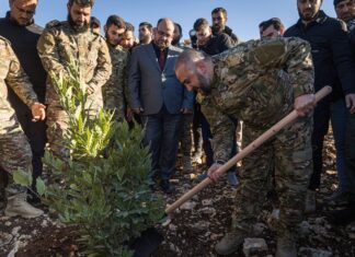 Reforestation Campaigns Aim to Restore Syria’s Green Cover