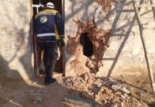 Ceasefire Breached as SDF Attacks Syrian Civilians and Army