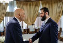 International Community Supports Damascus-SDF Ceasefire and Integration Deal