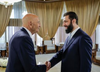 International Community Supports Damascus-SDF Ceasefire and Integration Deal