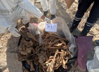 NYT Details Assad Regime’s Systemic War Crimes Cover-Up