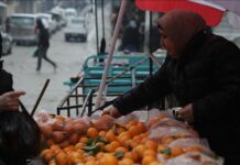 Aleppo Rebuilds as Life Returns After SDF Exit