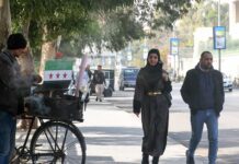 New Poll Gauges Syria’s Post-Assad Mood