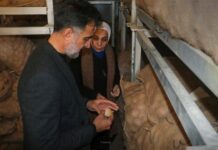 A National Agricultural Project for Potato Seed Production