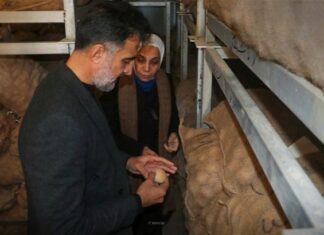 A National Agricultural Project for Potato Seed Production