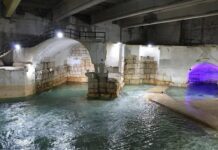 Heavy Rains in Syria Revive the Ain al-Fijeh Spring