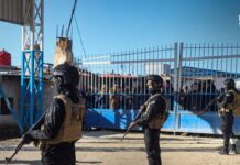 Most Foreign Families Depart Hawl Camp Following Security Shift