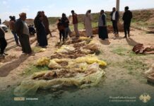 Questions Mount as Mass Grave Found Near Former SDF Prison