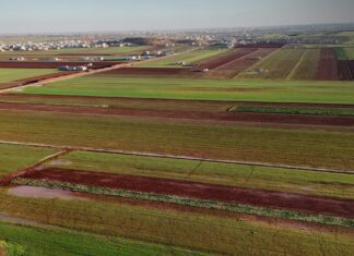 ICARDA Gene Bank Restored in Aleppo