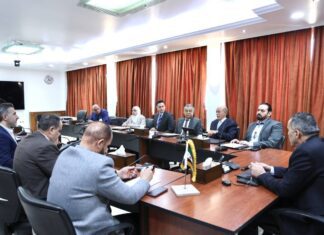 Syria and Saudi Firm Explore Investment in Cotton Production