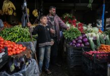 Broad Decline in Vegetable and Fruit Prices After Ramadan