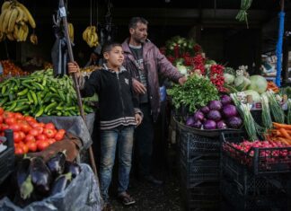 Broad Decline in Vegetable and Fruit Prices After Ramadan