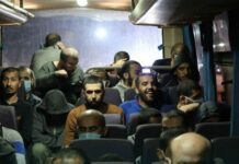 SNHR Reports Detail Killings and Detentions Across Syria