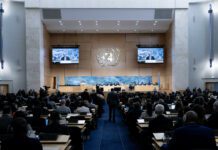 UN Reports Reveal Extent of Israeli Occupation’s Violations in Syria