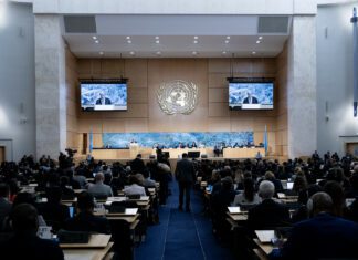 UN Reports Reveal Extent of Israeli Occupation’s Violations in Syria