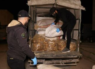 Joint Operations Expand Syrian Counter Narcotics Efforts