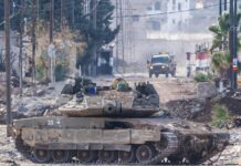 Teen Killed by Israeli Occupation in Southern Syria