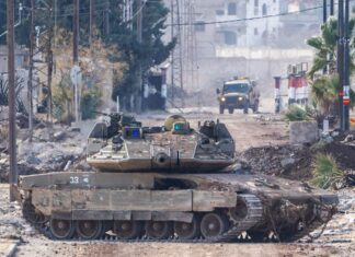 Teen Killed by Israeli Occupation in Southern Syria