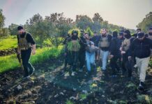 Syria Foils Hezbollah-Linked Rocket Plot in Quneitra