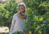Citrus Surplus and Systemic Deficiencies Strains Syria’s Coastal Farmers