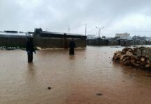 Ex-Central Banker Outlines Housing Plan for Syrian IDPs