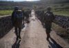 Illegal Israeli Attacks Exacerbate Instability in Southern Syria