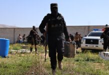 Jordan and Syria Intensify Crackdown on Cross-Border Drug Trade