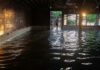 Syrian Ministries Act Quickly to Contain Euphrates Flood Crisis