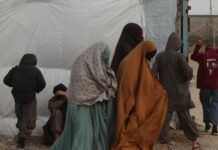 Second Group of Australians Leave Roj Camp in Possible Repatriation