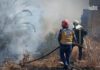 Syria’s Floods and Fires Test Agricultural Recovery