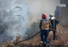 Syria’s Floods and Fires Test Agricultural Recovery