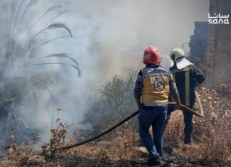 Syria’s Floods and Fires Test Agricultural Recovery