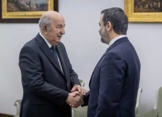 Syrian FM Shaibani’s Visit Signals New Syria-Algeria Cooperation