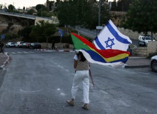 Le Monde: Israeli Intervention Destabilizing Southern Syria and Region