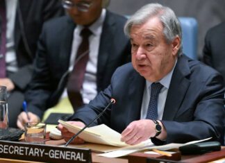 UN Security Council Voices Support for Syria’s Stability