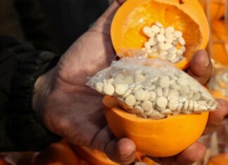 Captagon Built Assad’s Narco-State and Fueled the Fallen Regime